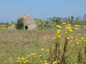 un tanti trulli in muratura a secco che lambisce la "nuova" via Lama di Macina. Presto dovranno far posto ai capannoni industriali